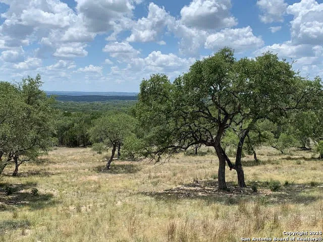 1074 Madrone Road Fischer, TX 78623